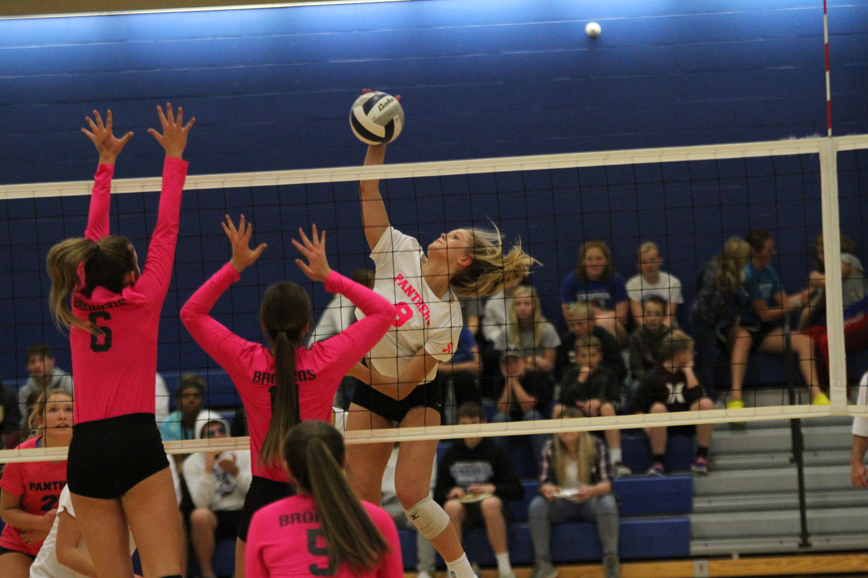 Volleyball (81).JPG